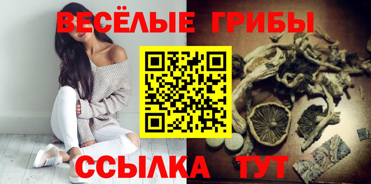 Псилоцибиновые грибы Cubensis Анапа