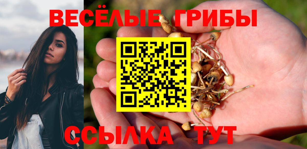 Анапа  Галлюциногенные грибы прущие грибы  Вход с VPN  Псилоцибиновые грибы Cubensis 